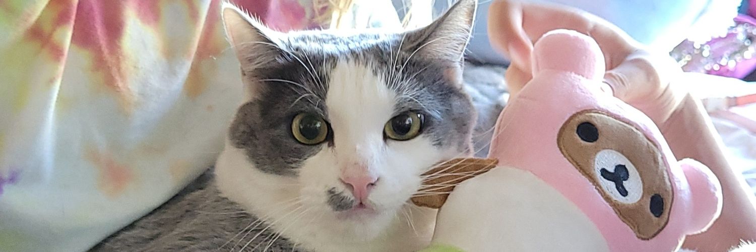 Lstone21's profile banner image