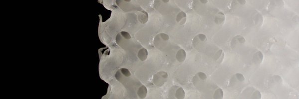 ferrymelchels Profile Banner
