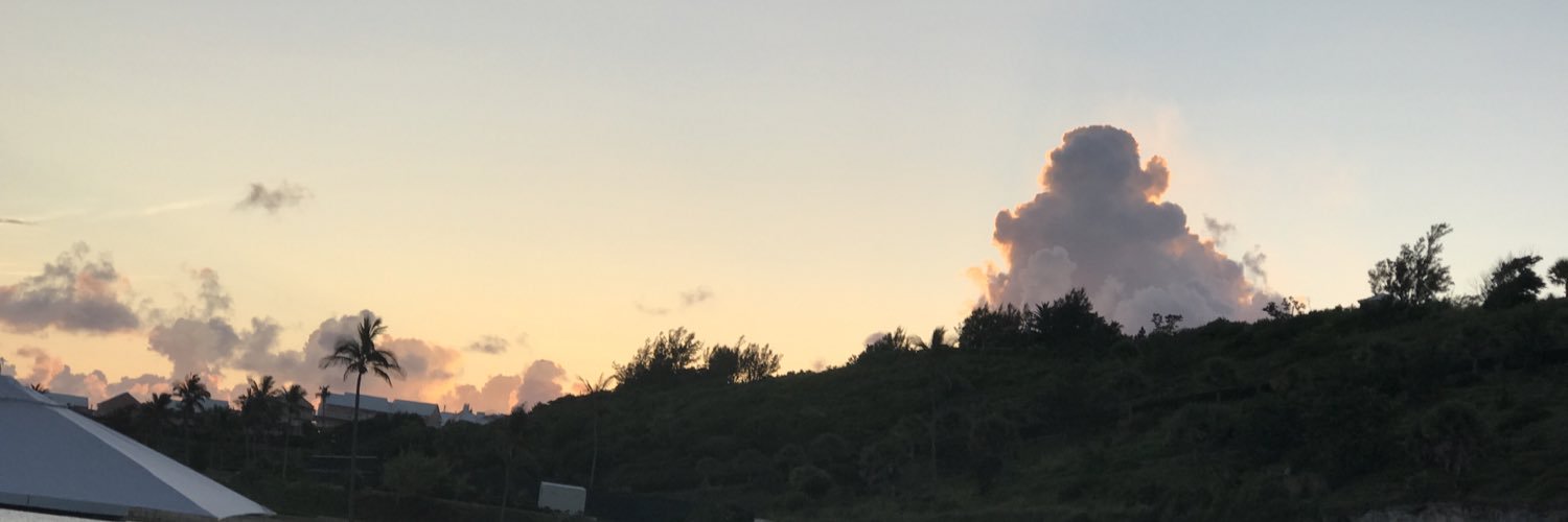 meesaBack's profile banner image