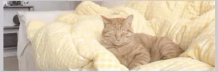 leslee_115's profile banner image
