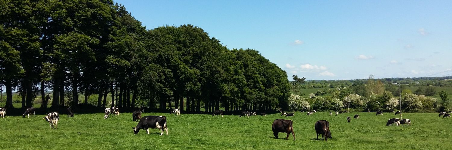 Robert English banner