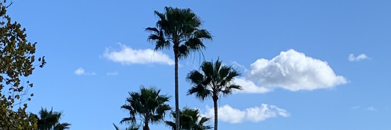 KlrWalsh's profile banner image