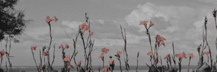 SabriFami's profile banner image