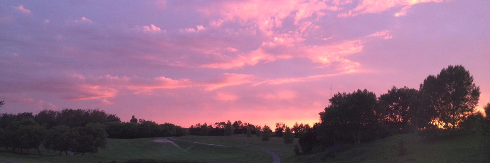 Murray McCourt banner