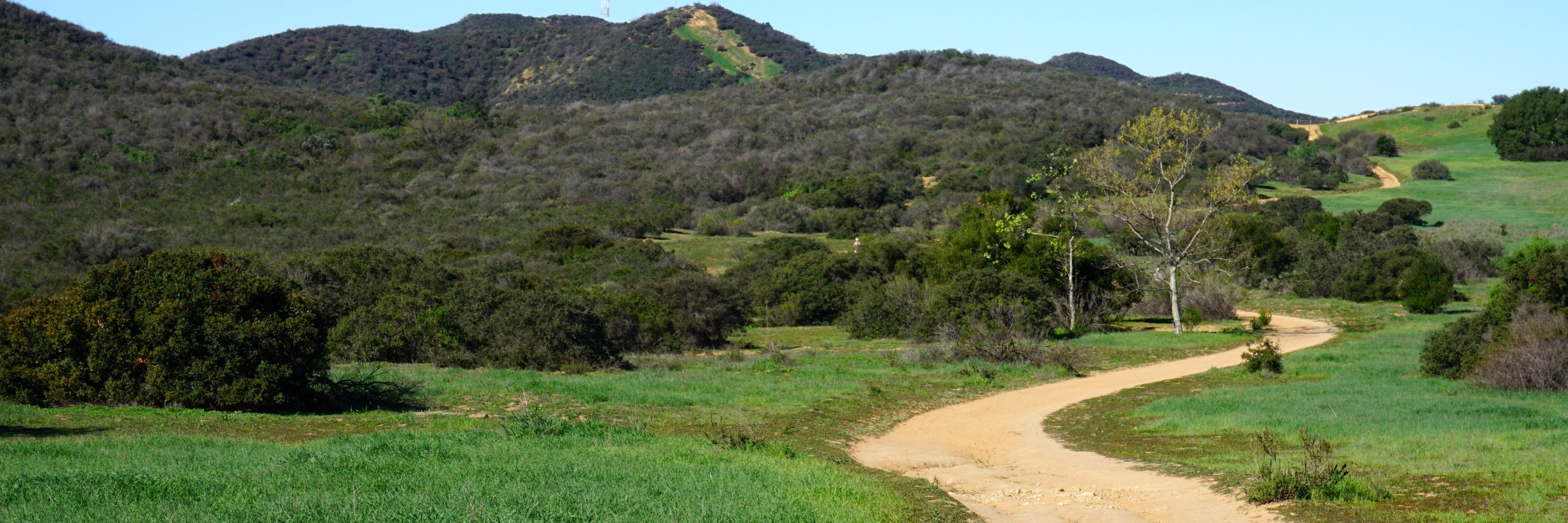 Andrew Pletcher banner