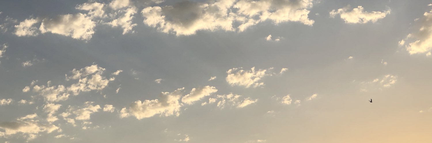 blairmwhite's profile banner image