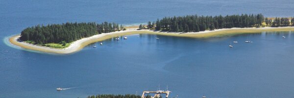QuadraIsland Profile Banner