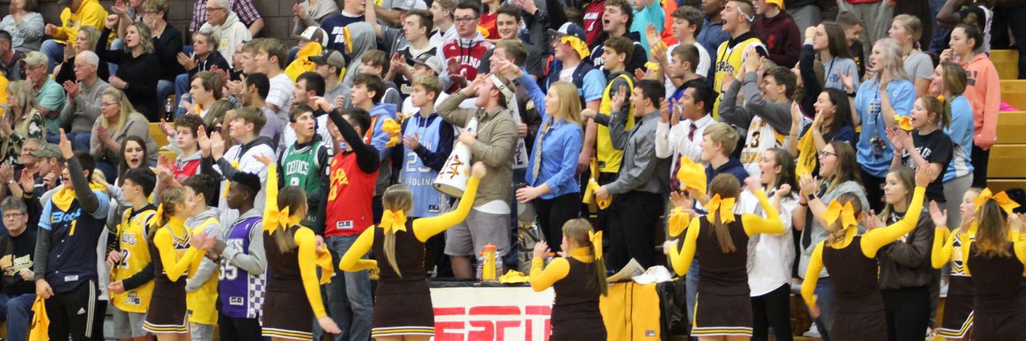 MCHS MANIACS banner