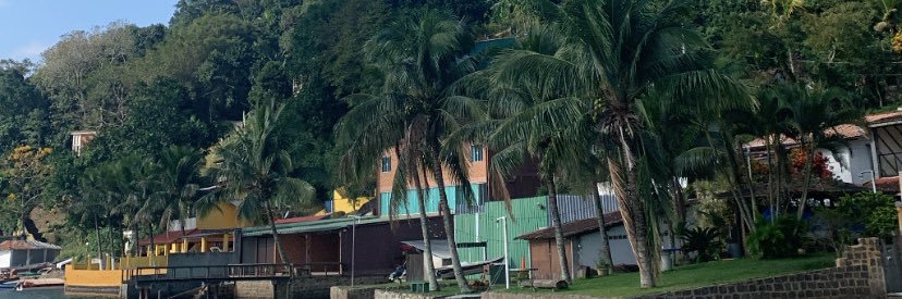 gussate's profile banner image