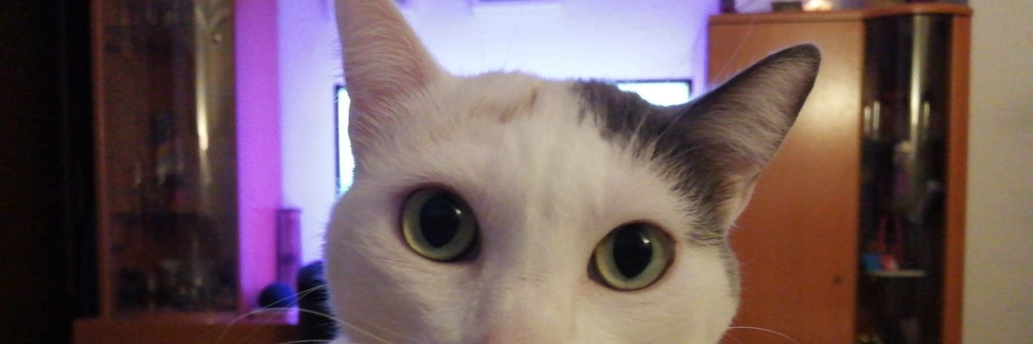 lauraolmosgil's profile banner image