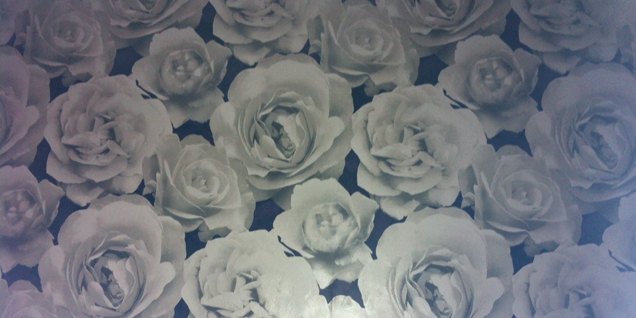 DaisyRayne96's profile banner image