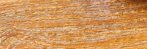 naturehaley100's profile banner image