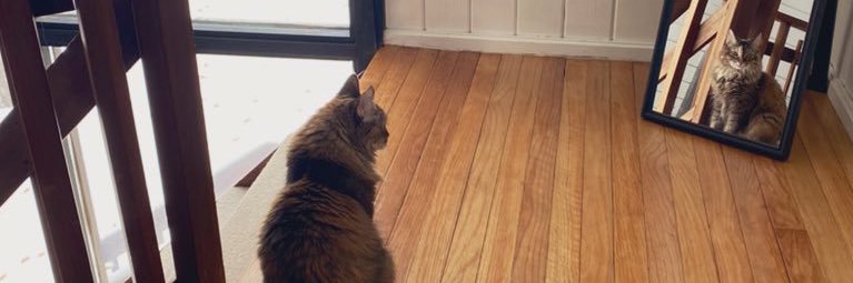 Melissa Smith banner