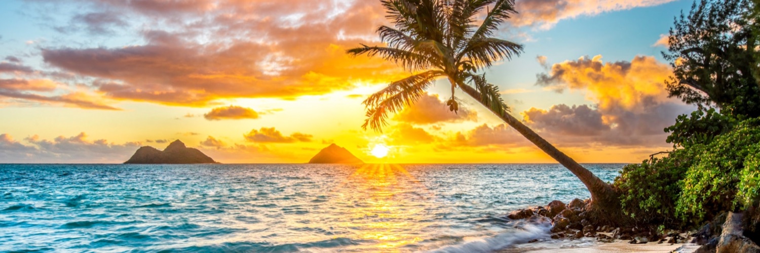 KalenaRanoa's profile banner image