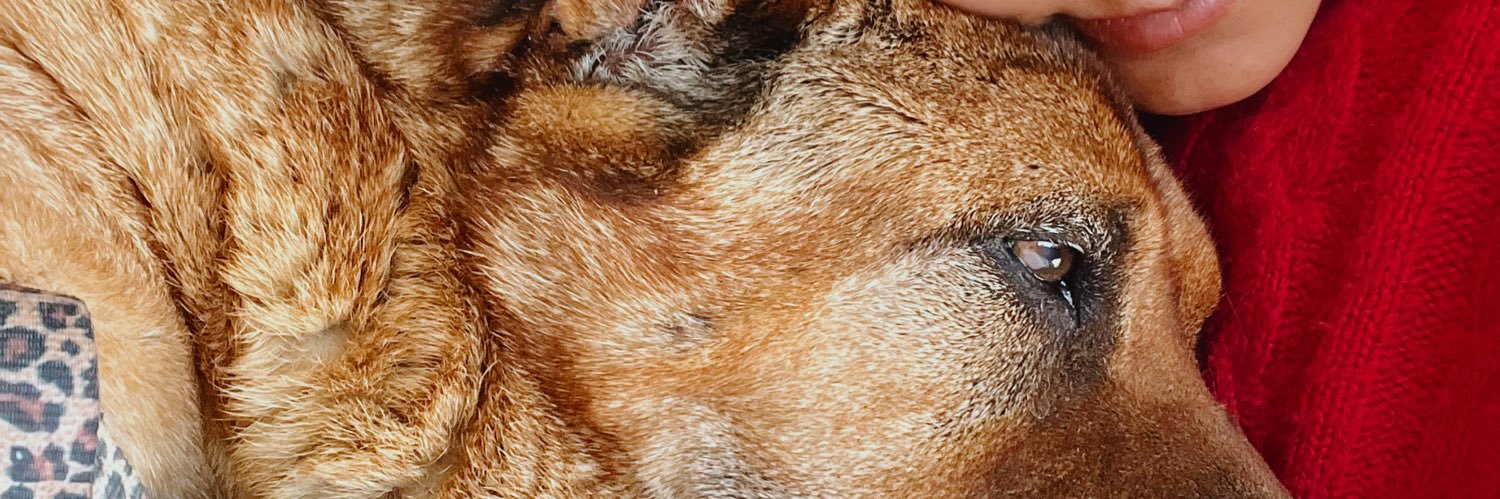 sabivallejos's profile banner image