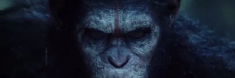 LouvelSandro's profile banner image