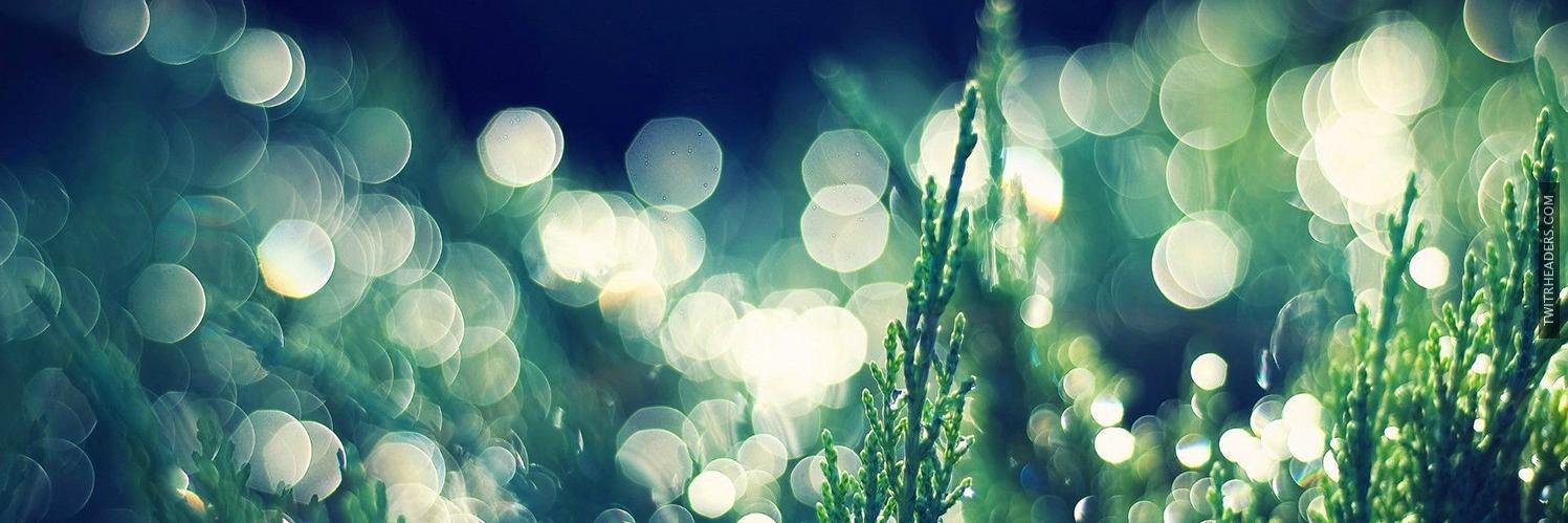 wcsdesigns's profile banner image