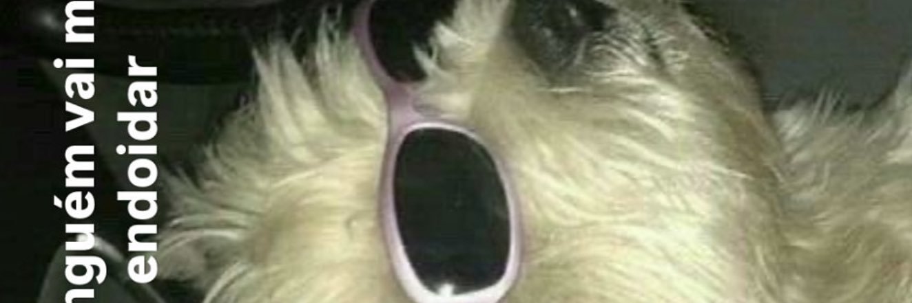npertuba_'s profile banner image