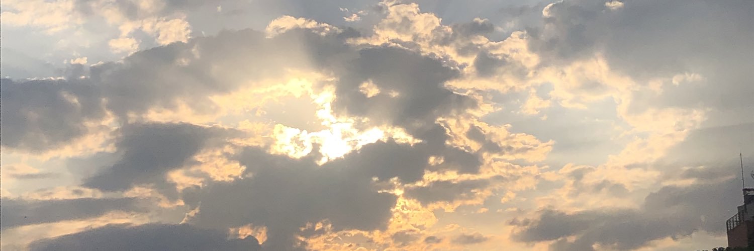 zazolauraa's profile banner image