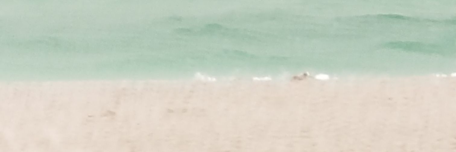 wineyo66's profile banner image