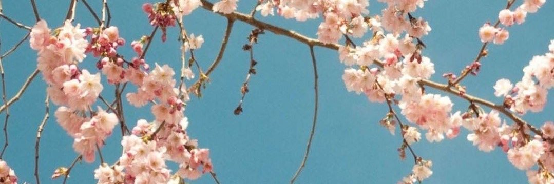 ynaliem's profile banner image