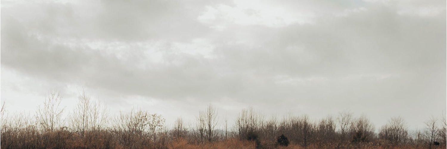 LexieCallaham's profile banner image