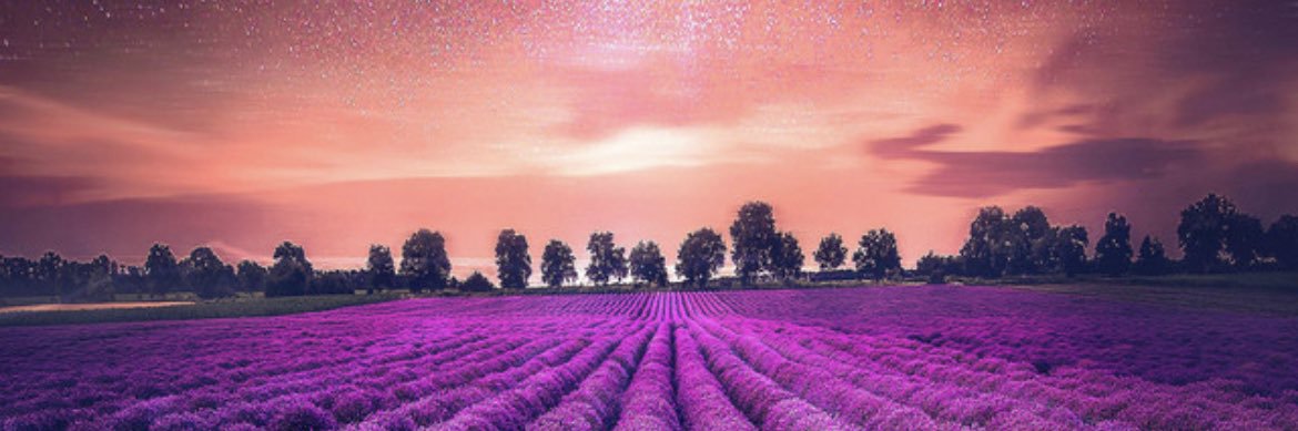 Shell_Labelle_'s profile banner image