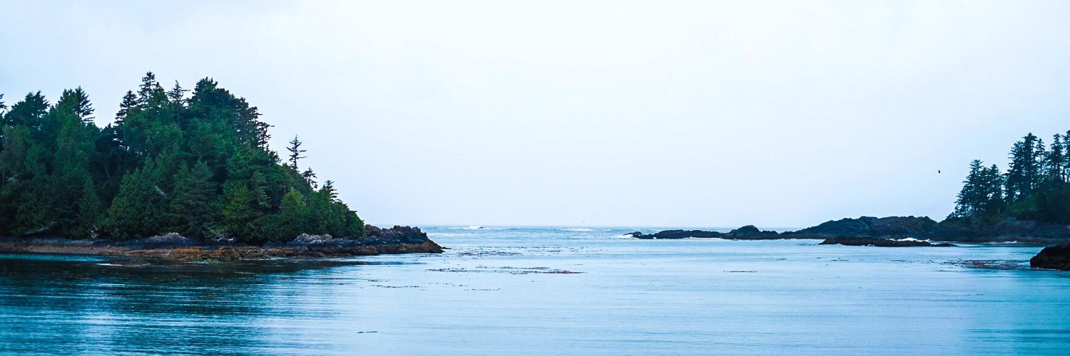 dkang81's profile banner image