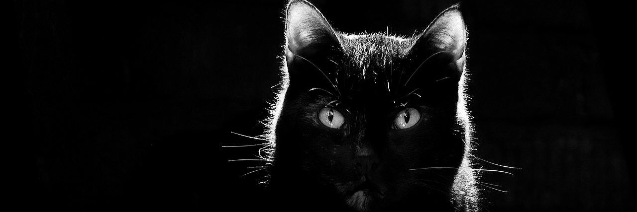 mmmmendozammm's profile banner image