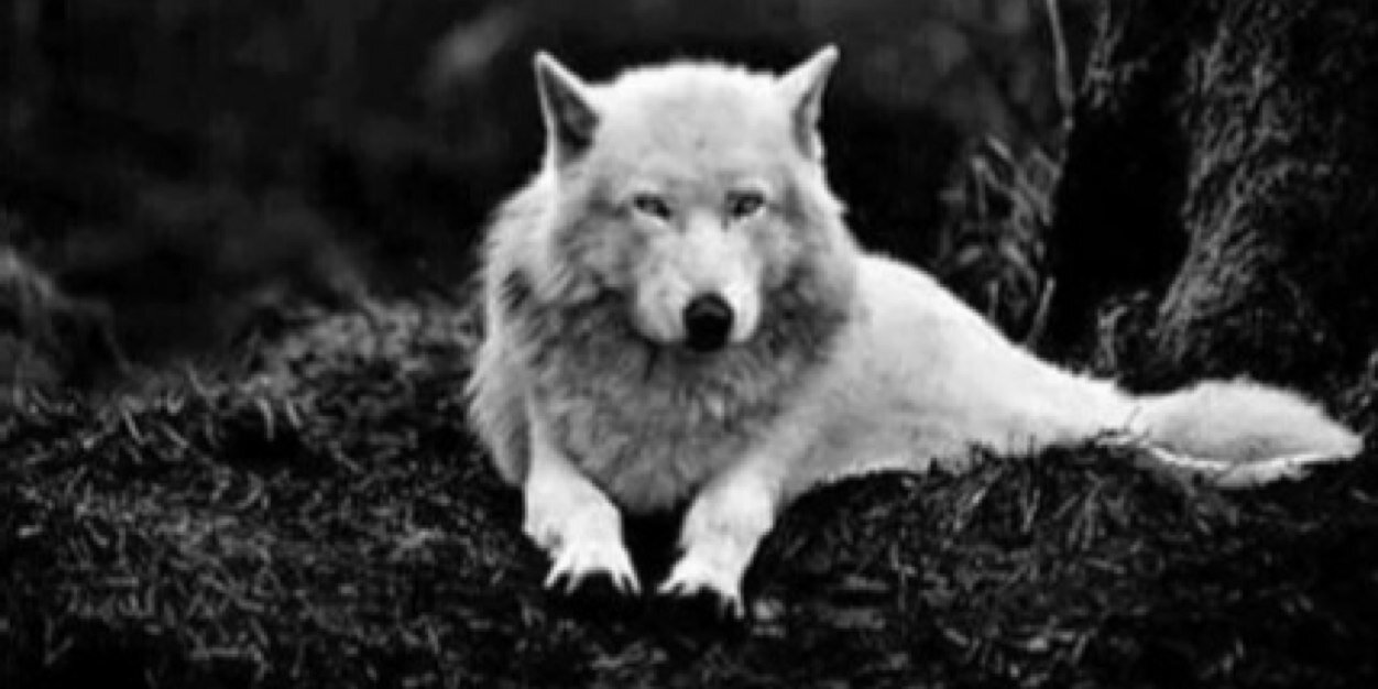 DH_W_3's profile banner image