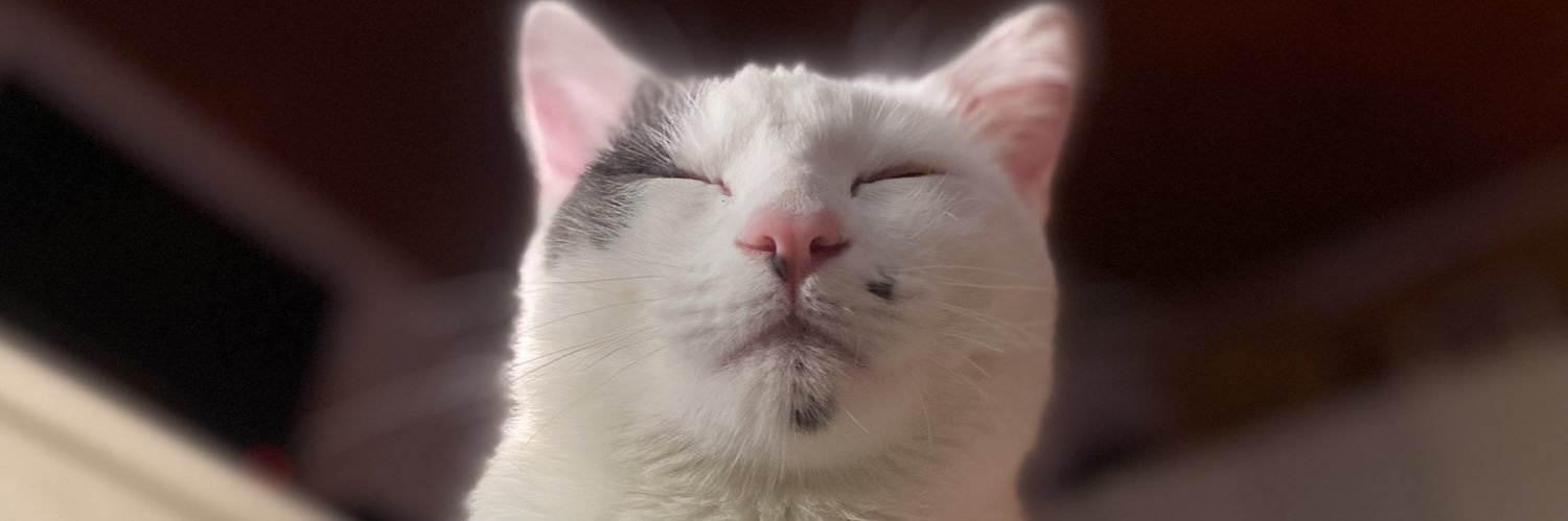 milureedus's profile banner image