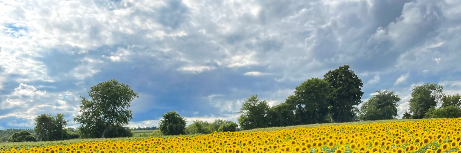 MelissaBreen_01's profile banner image