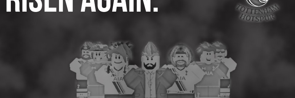 RIFATottenham's profile banner image