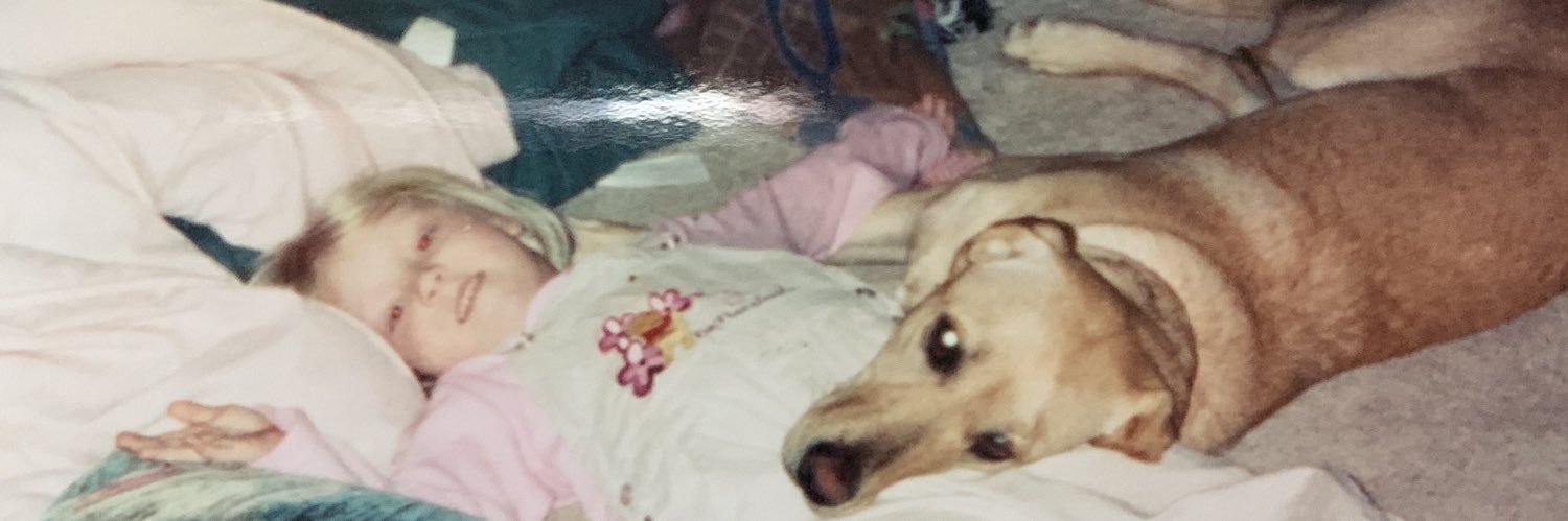 brittbodien's profile banner image