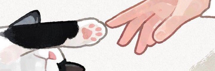 NLeal95's profile banner image