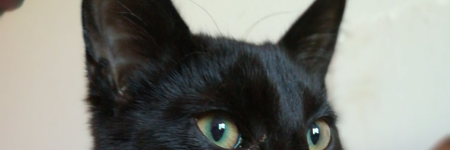 Nelsonrtt's profile banner image
