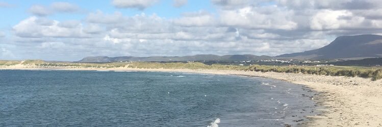 Niamh Ní Mhóra banner