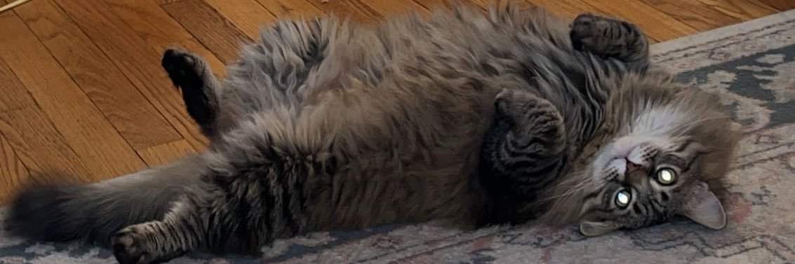 booty lip banner