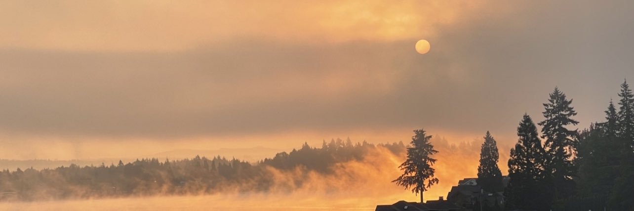 pagealeeza's profile banner image