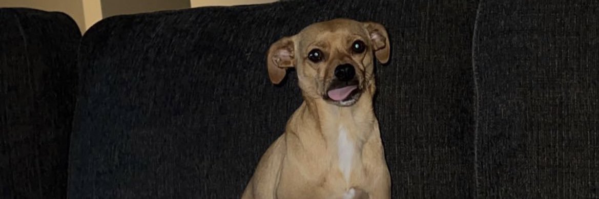 Tyler_McCully's profile banner image