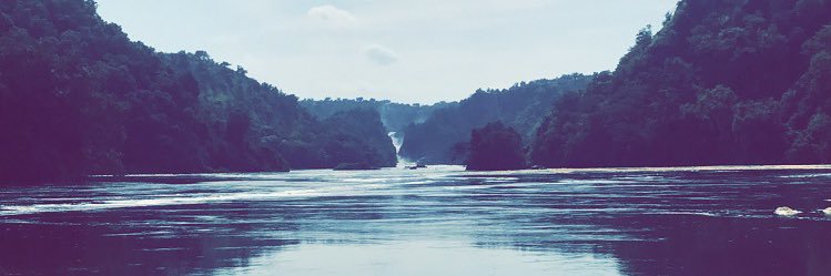 Ebony D. Johnson banner