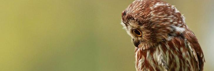 Tata_4D's profile banner image