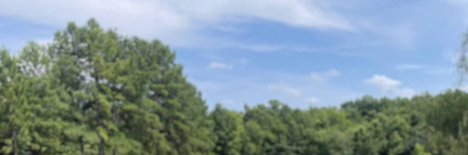 Daniela Testa banner