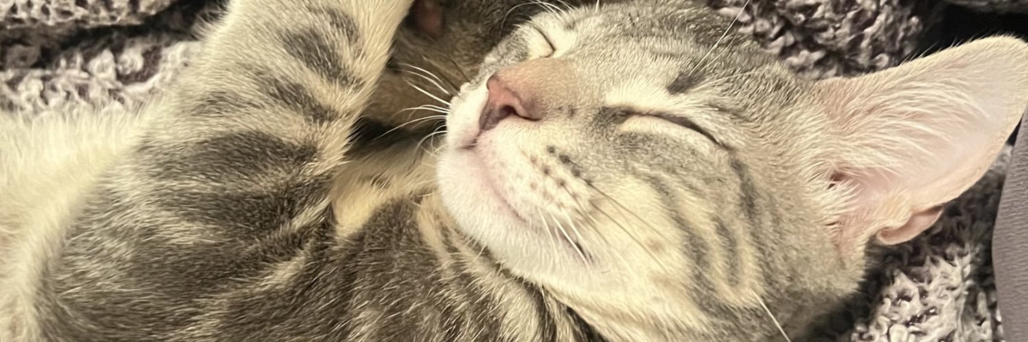 ___AudrisA's profile banner image