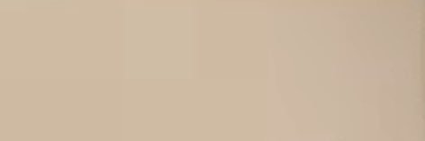 Alexa Meza banner