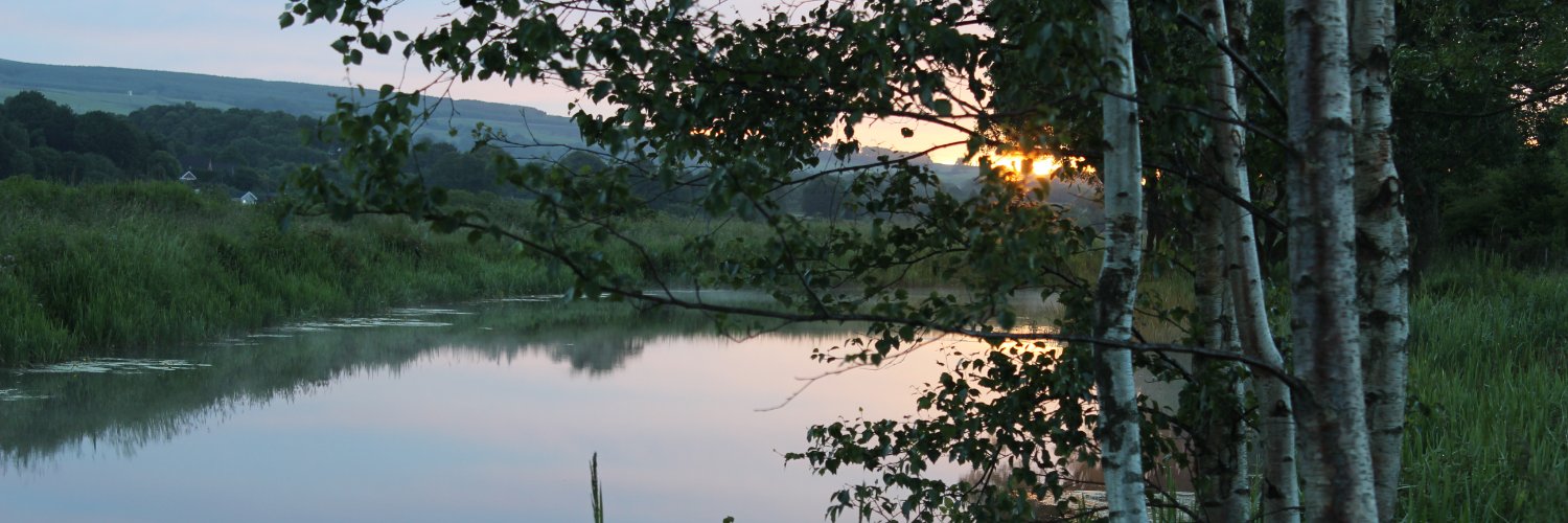 themiddlecorner's profile banner image