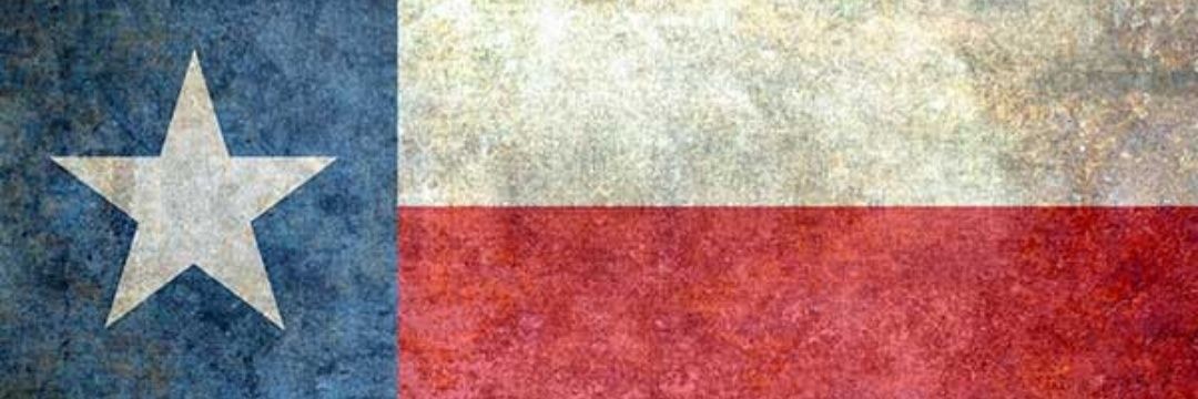 TexAzPony's profile banner image
