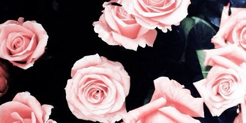_lorena_vi's profile banner image