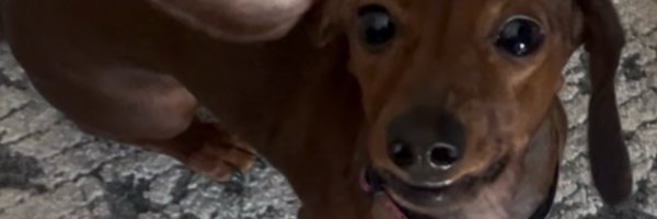 cherish_x0x0 Profile Banner