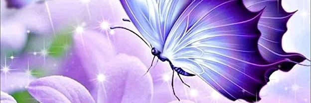 STLOUISFLOWER's profile banner image